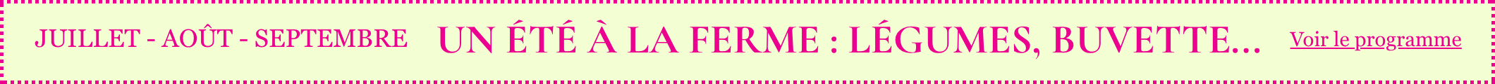 Un été à la ferme : légumes, buvette, évènements...
