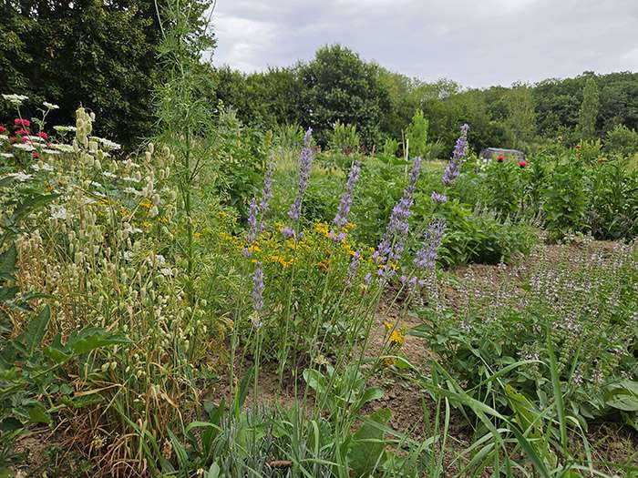 Le jardin de Moulin Butin