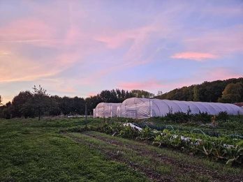 ferme-20250928_195218