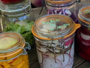 lactofermentation