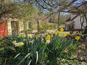 maison jardin 20250318_114438