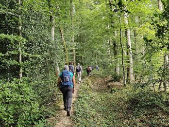 marche et yoga-20250802_115019