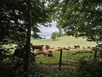 marche et yoga-20250802_120714