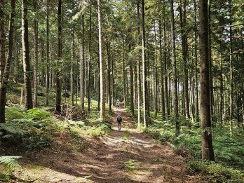 marche et yoga-20250802_140959