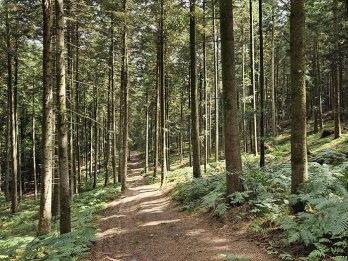 marche et yoga-20250802_141143