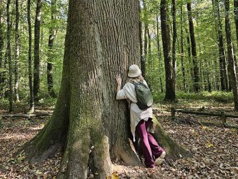 marche et yoga-20251011_151152