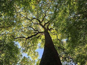 marche et yoga-20251011_151422