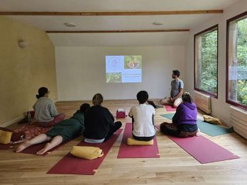 permaculture-20250613_202934