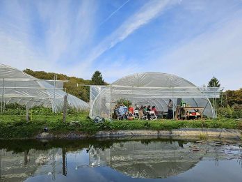 permacuture-20251018_150145